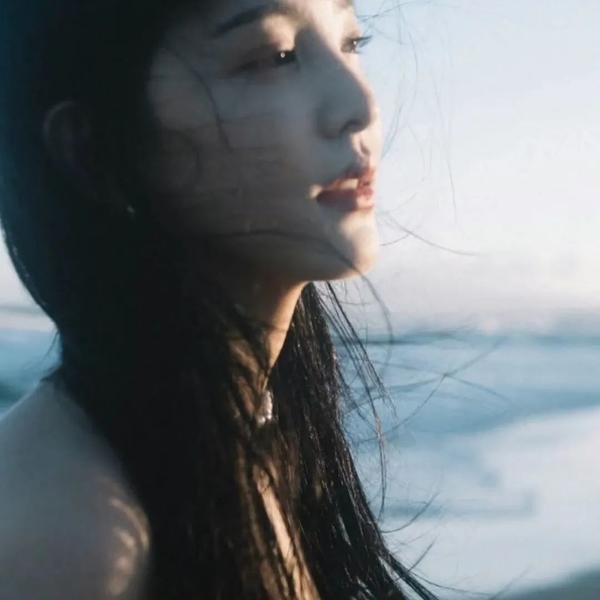战地飘零燕