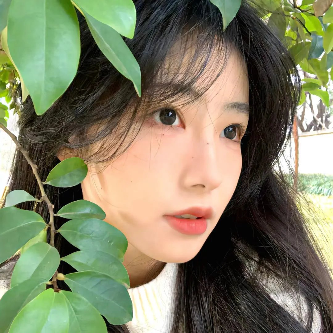 纸钞屋:柏林